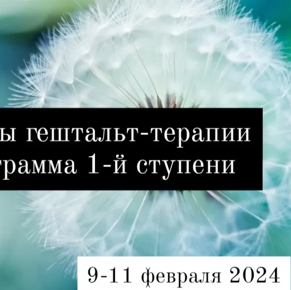 Основы гештальт-терапии. Программа 1-й ступени