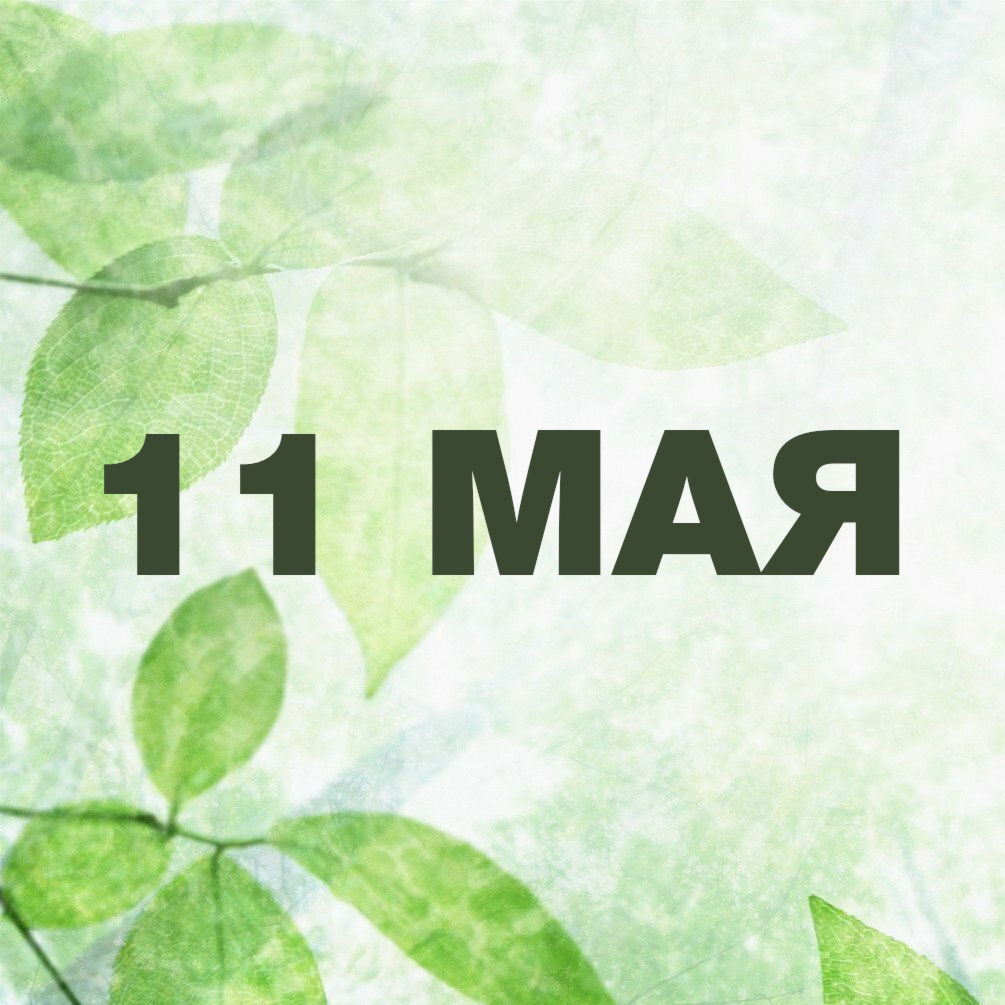 11 мая