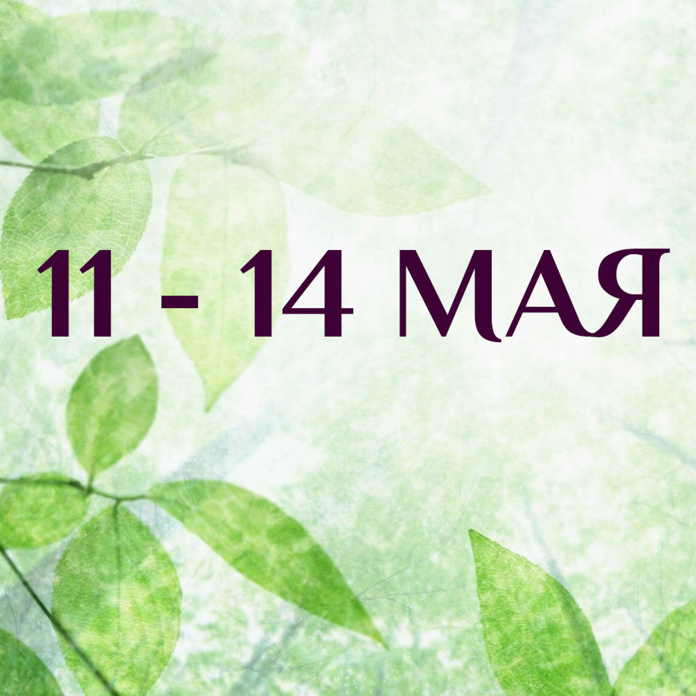 Позиция тренера в обучающей группе.