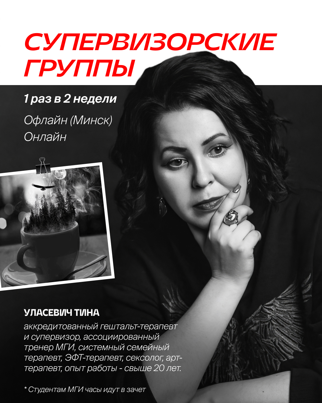 Супервизорская группа (1)