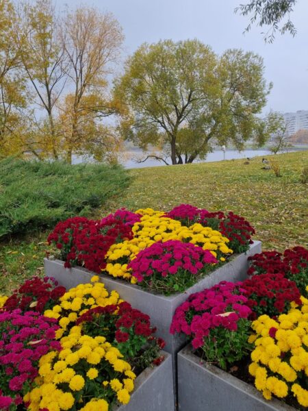 Искусство быть с другим: гештальт в большом городе