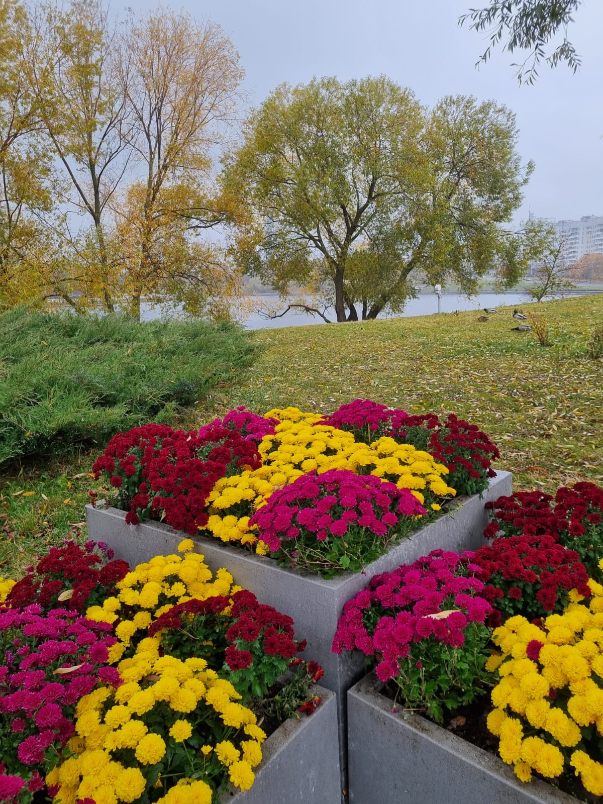 Искусство быть с другим: гештальт в большом городе
